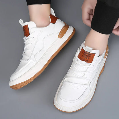 CERVELLO — Italian Leather Sneakers