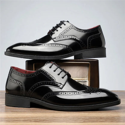 MARQUET — Classic Brogue Oxfords